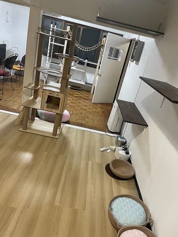 保護猫カフェ CatGarden