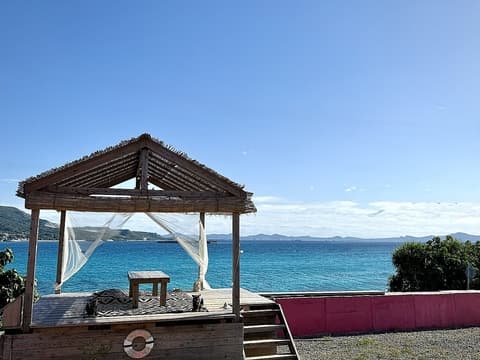 コーラルビーチプラス