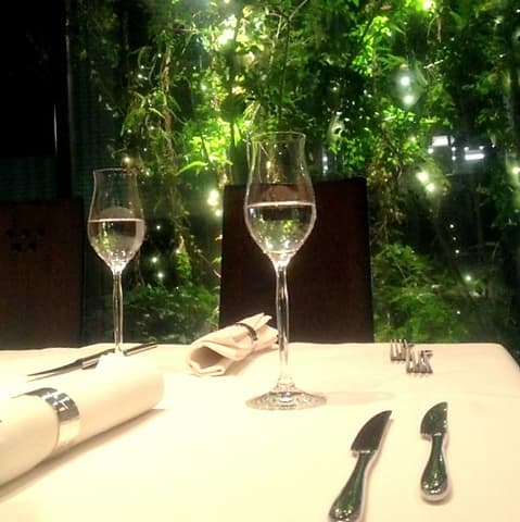 カンブーザ CAMBUSA