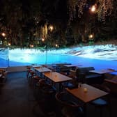 aruhi morinonaka アルヒモリノナカ 3