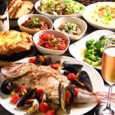 Mio preferito ミオ プレフェリート 3