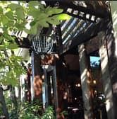 寿樹 ジュジュ 3