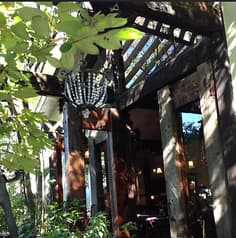 寿樹 ジュジュ 2