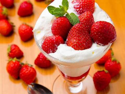 フォーラム 富木