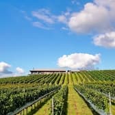 了美 Wine & Dine 3