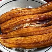 對馬炙り処 やんこも 3