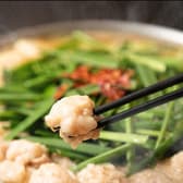 博多もつ鍋 やま中 銀座店 3