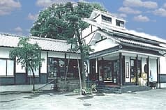 天然とらふぐ ふぐ家 北小金 2