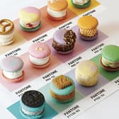 マカプレッソ 新大久保店 3