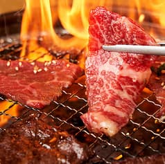 0秒レモンサワー ときわ亭 藤沢店 2