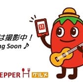 石垣島 アグー豚 美らしゃぶ処　かくれ　 3