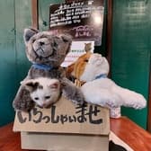 Kuramae 路地裏の猫 3