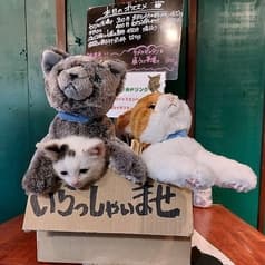 Kuramae 路地裏の猫 2