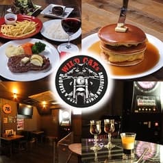 WILD CATs ワイルドキャッツ 2