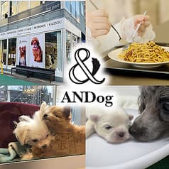 ANDog アンドッグ 2