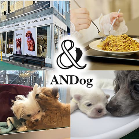 ANDog アンドッグ