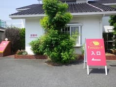 マツイカリー 2