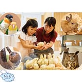 Moff animal cafe ららぽーと立川立飛店 3