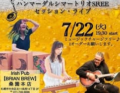 Irish Pub BRIAN BREW 本店 2