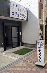 コチョウラン 2