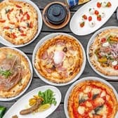 pizzeria CONO FORESTA ピッツェリアコノフォレスタ 3