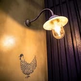 焼き鳥ワイン酒場 とりぶどう TORI-BUDOU 今泉本店 3