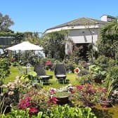 ガーデンレストラン花さんご 3