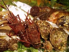 ささら 西本町 2