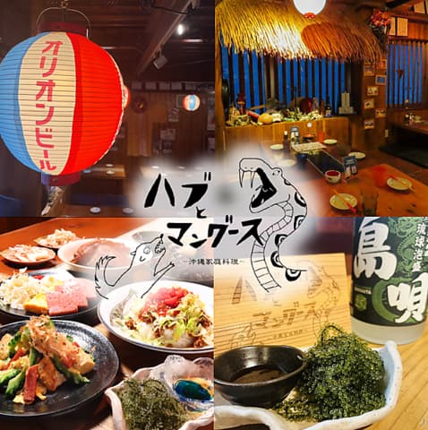 ハブとマングース 高知店