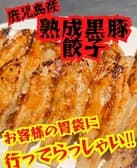 餃子酒場 ギョウザサカバ 3