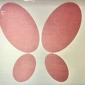 ButterflyBarCafe バタフライバーカフェ 3