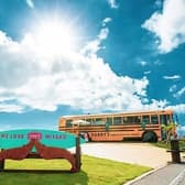 HARRY'S Shrimp Truck 3