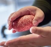 花より ハンバーグ ASTY静岡店 3