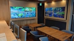 enmadoka エンマドカ 2