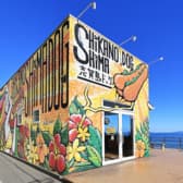 志賀島ドッグ 本店 3