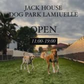 DOG PARK LAMIUELLE ドッグ パーク ラミュエル 3