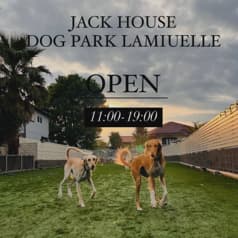 DOG PARK LAMIUELLE ドッグ パーク ラミュエル 2