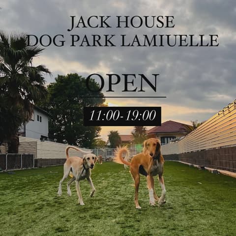 DOG PARK LAMIUELLE ドッグ パーク ラミュエル