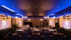 FOREST BLUE フォレスト ブルー 2