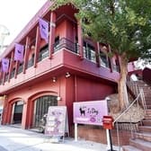 i cafe アイカフェ 北野店 3