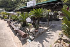 海の家 オハグ 2