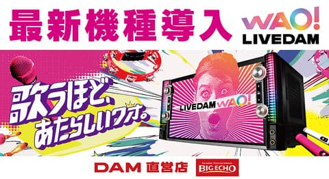 ビッグエコー BIG ECHO 新潟駅南口店