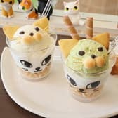 猫カフェ LINK リンク 3