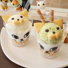 猫カフェ LINK リンク 2