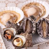 居酒屋 カドや 3