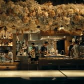 Botanico扇町公園 3