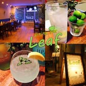 ダイニングバー リーフ dining bar Leaf 3