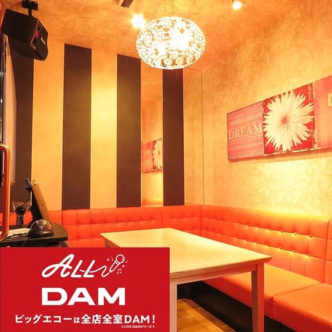 ビッグエコー BIG ECHO 御茶ノ水店