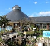 かもしか食堂 3