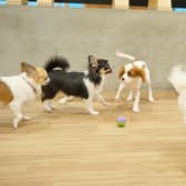 AHBASE エーエイチベース 3